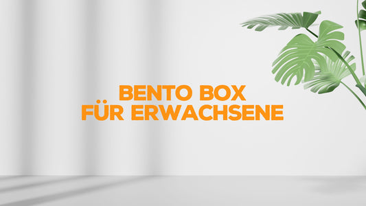 Der ultimative Kaufratgeber: Bento Box für Erwachsene