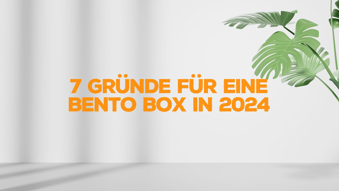 7 Gründe, weshalb du in 2024 eine Bento Box benötigst